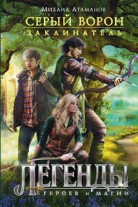 Серый ворон 3. Друзья и магия (Заклинатель)