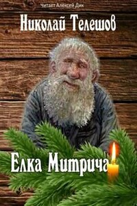 Ёлка Митрича