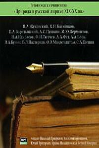 Готовимся к сочинению. Природа в русской лирике XIX-XX вв.