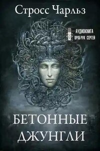 Бетонные джунгли