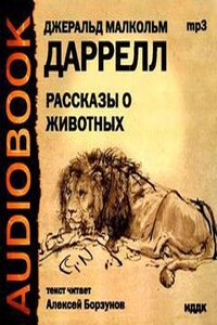 Рассказы о животных