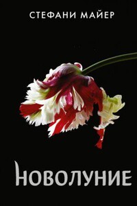 Сумеречная сага 2. Новолуние