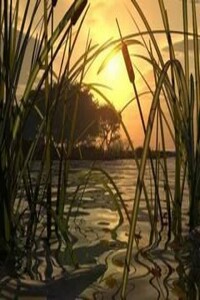 Тишиною благословенная