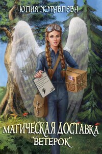 Магия полета. Магическая доставка «Ветерок»