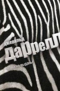 Мама на выданье