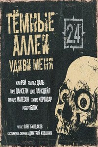 Темные аллеи. Удиви меня! (книга 2.4)