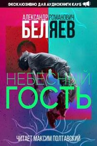 Небесный гость